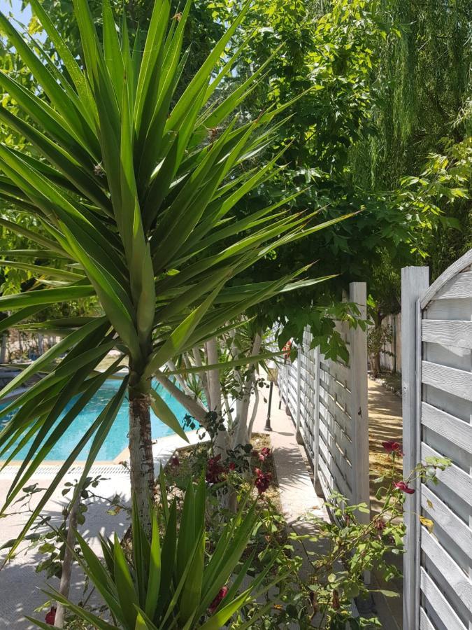 Villa Adonis With Private Pool By Lefkadastay Luaran gambar