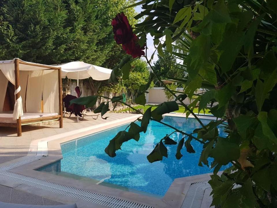 Villa Adonis With Private Pool By Lefkadastay Luaran gambar
